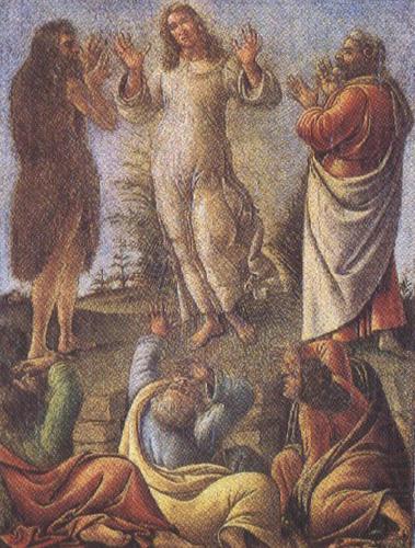 Sandro Botticelli Transfiguration,wtih St jerome and St Augustine (mk36) oil painting picture